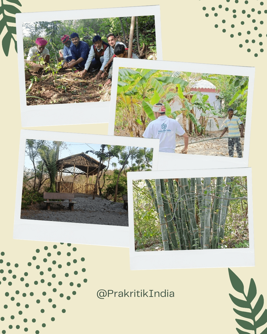 Prakritik India team and projects