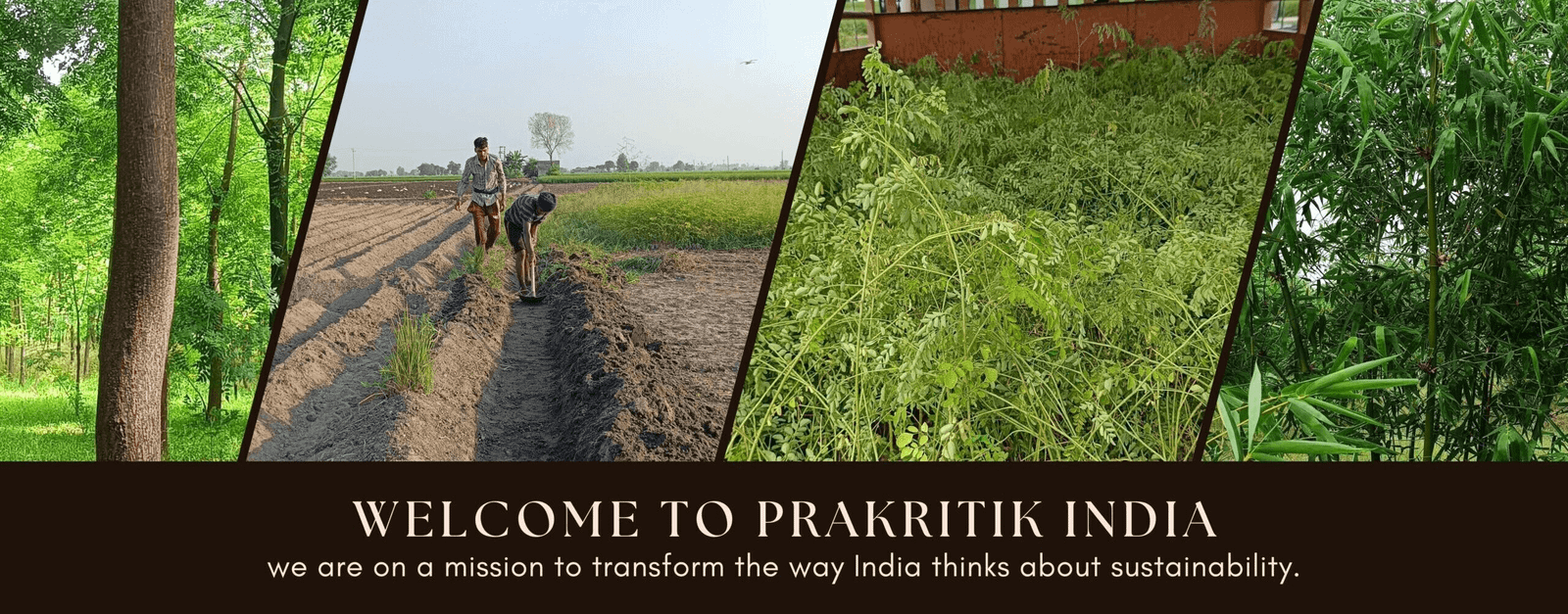 Welcome to Prakritik India
