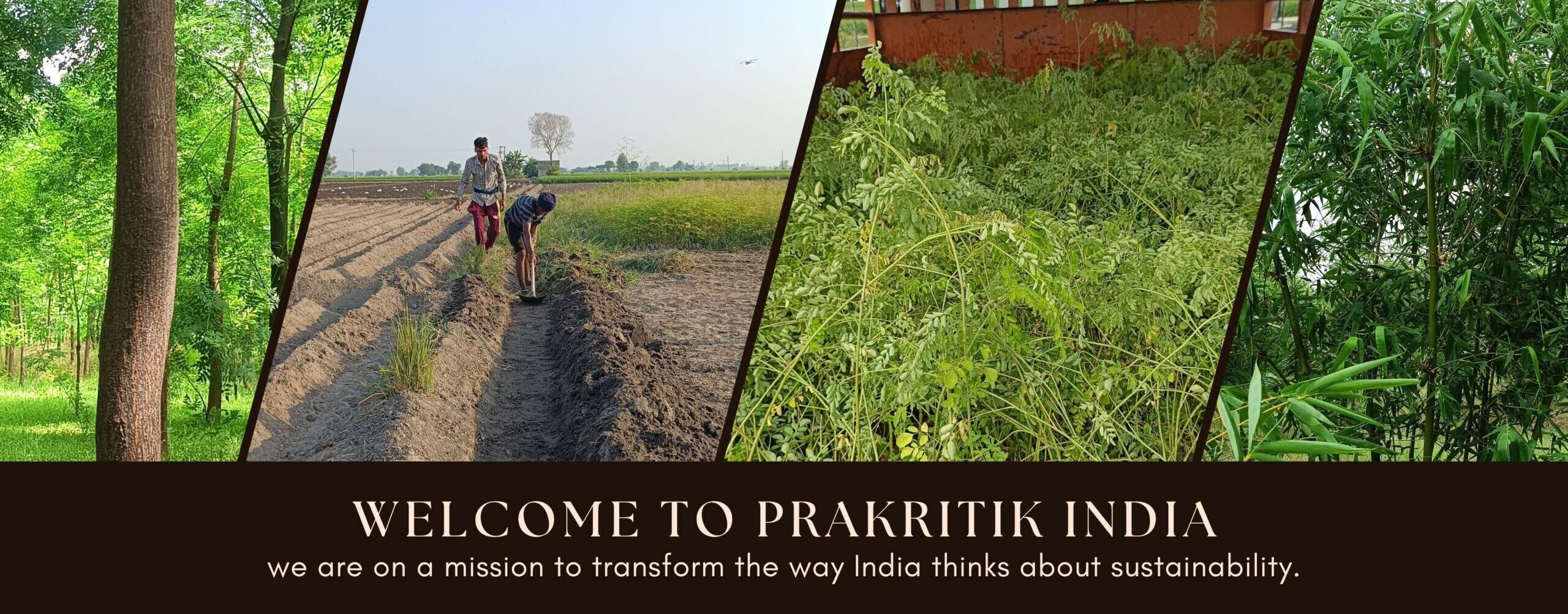 Prakritik India initiatives 3